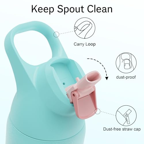 Insulated Water Bottle with Straw, 24 oz, Leakproof, BPA-Free B201134