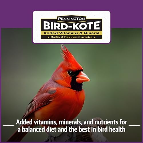 Wild Bird Seed for Outside Feeders, High-Protein, No-Hull, No-Waste, 15-lb Bag Q46704