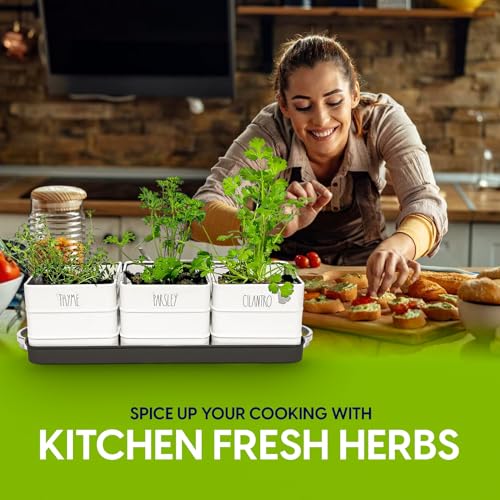 Herb Pot Planter Set with Tray for Indoor or Outdoor Use, White Metal G132003