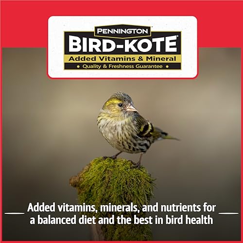 Wild Bird Seed for Outside Feeders, High-Protein, No-Hull, No-Waste, 15-lb Bag Q46704