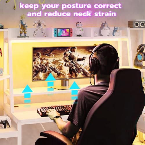 Gaming Desk with LED Lights, Hutch and Storage Shelves, Black O742