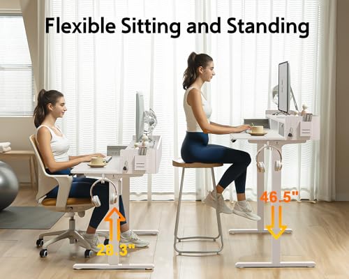 Electric Standing Desk with 2 Drawers, Height Adjustable for Home Office W495
