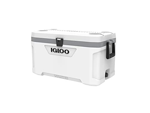Insulated Portable Hard Side Cooler Ice Chest for Fishing Camping Boating A767409
