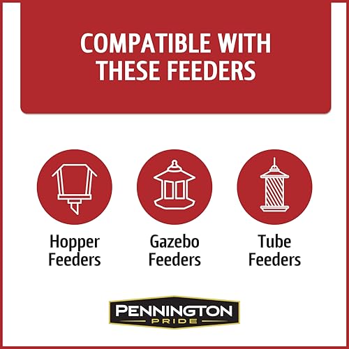 Wild Bird Seed for Outside Feeders, High-Protein, No-Hull, No-Waste, 15-lb Bag Q46704
