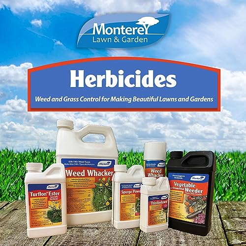 Spurge Power Herbicide, One Pint F2613
