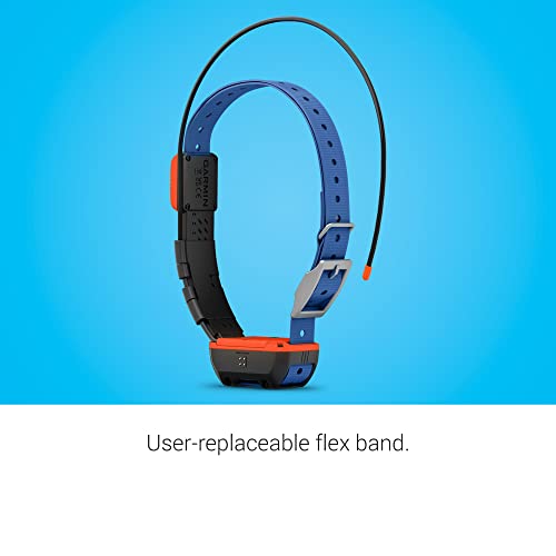 GPS Dog Tracking and Training Collar Y817