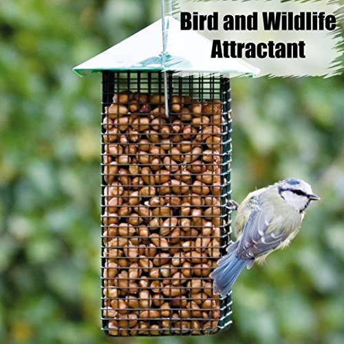 Wildlife Shelled Peanuts, 10 lbs for Birds and Squirrels C82678