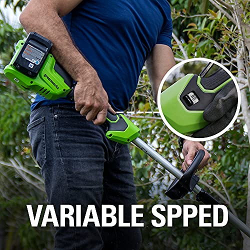 Cordless String Trimmer 15" with 2 Batteries and Charger R224
