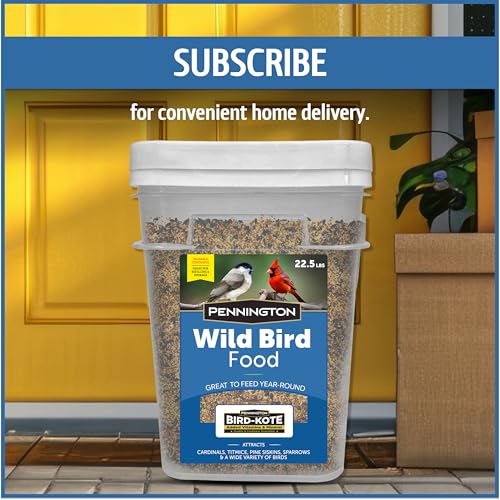 Wild Bird Seed for Outside Feeders, High-Protein, No-Hull, No-Waste, 15-lb Bag Q46704
