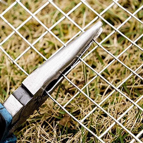 Galvanized Chicken Wire Mesh for Gardening and Poultry Fence J546599