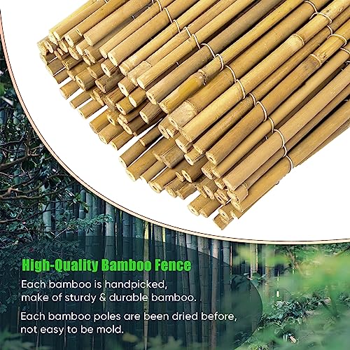 Natural Bamboo Fence Roll 6ft x 8ft, Outdoor Privacy Screen for Garden Q294