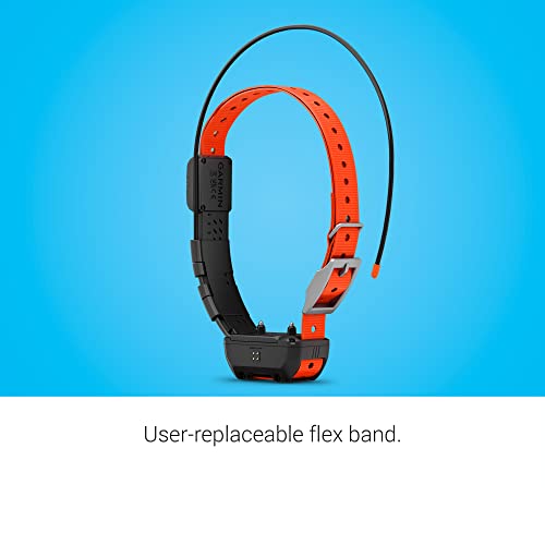 GPS Dog Tracking and Training Collar Y817