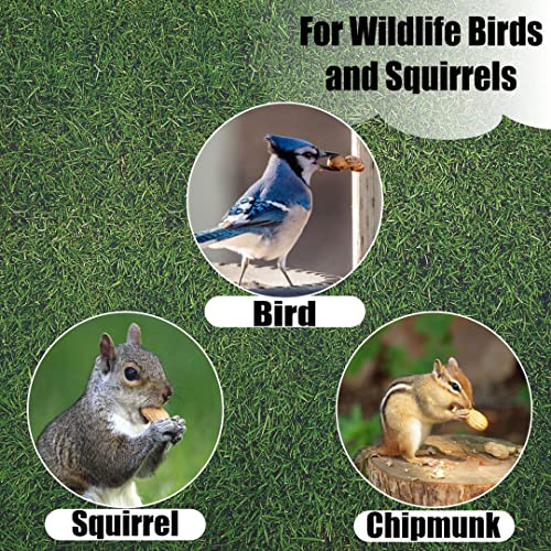Wildlife Shelled Peanuts, 10 lbs for Birds and Squirrels C82678