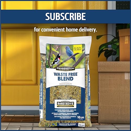 Wild Bird Seed for Outside Feeders, High-Protein, No-Hull, No-Waste, 15-lb Bag Q46704
