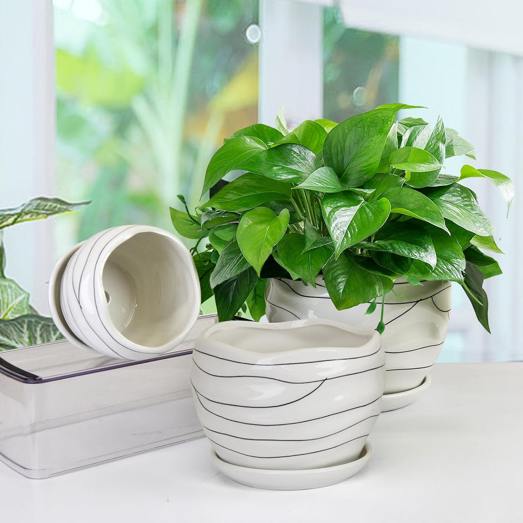 White Ceramic Planter Set, 3 Sizes, Indoor and Outdoor Use X42488