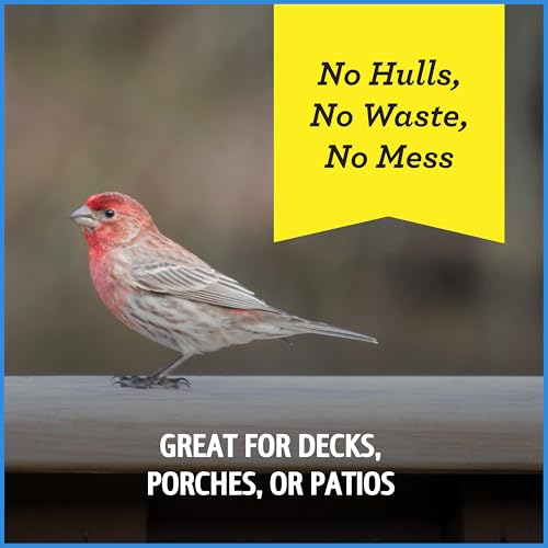Wild Bird Seed for Outside Feeders, High-Protein, No-Hull, No-Waste, 15-lb Bag Q46704