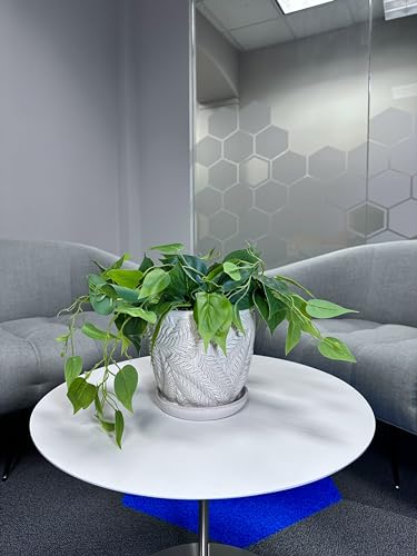 White 7 Inch Indoor Ceramic Planter Pot with Saucer and Drainage Hole N2399
