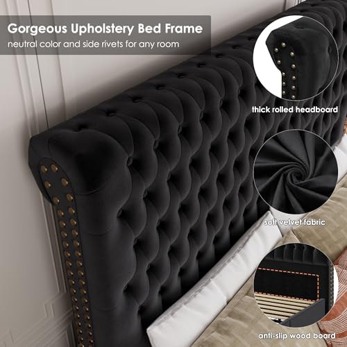 Velvet Upholstered King Bed Frame with Tall Headboard and Storage Drawers V8658