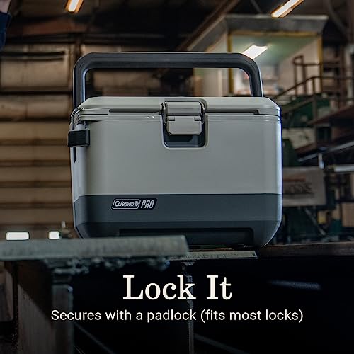 Heavy-Duty 9qt Hard Cooler Lunchbox with Extra-Thick Insulation U388611