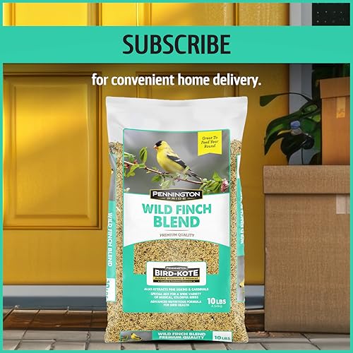 Wild Bird Seed for Outside Feeders, High-Protein, No-Hull, No-Waste, 15-lb Bag Q46704