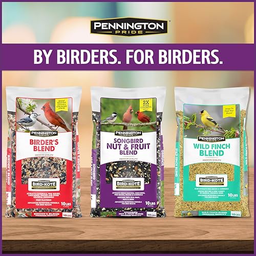 Wild Bird Seed for Outside Feeders, High-Protein, No-Hull, No-Waste, 15-lb Bag Q46704