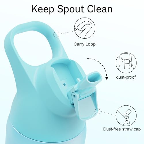 Insulated Water Bottle with Straw, 24 oz, Leakproof, BPA-Free B201134