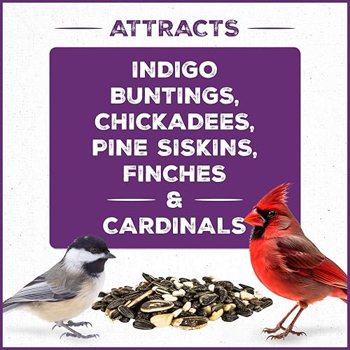 Wild Bird Seed for Outside Feeders, High-Protein, No-Hull, No-Waste, 15-lb Bag Q46704