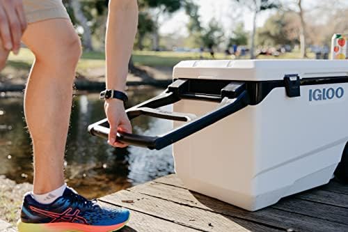 Insulated Portable Hard Side Cooler Ice Chest for Fishing Camping Boating A767409