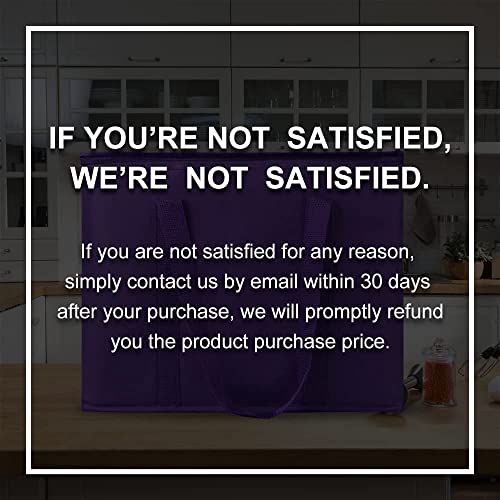 Insulated Food Delivery Bag Hot Cold Meal Carrier F1699