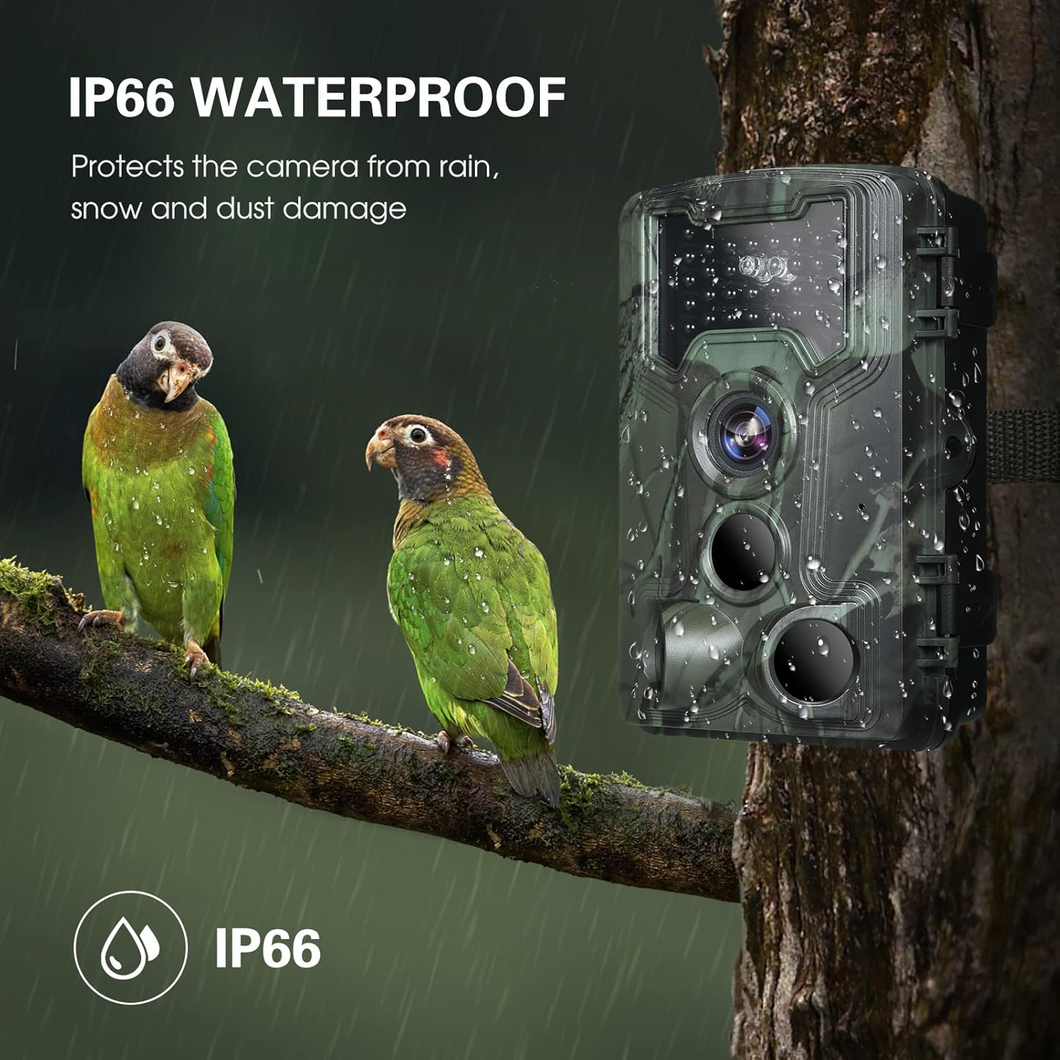 Trail and Game Camera with Night Vision and Motion Activation N1487
