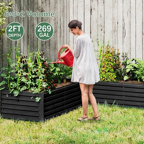 Galvanized Raised Garden Bed 8x4x2ft, Large Metal Planter Box for Outdoor Vegetables, Flowers & Herbs D2106