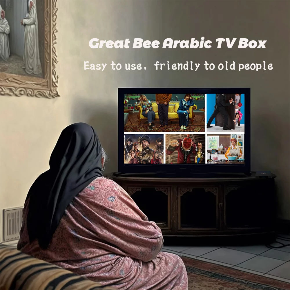 Arabic TV Box Android 10 Quad Core 4K Smart IP Television Receiver L22156