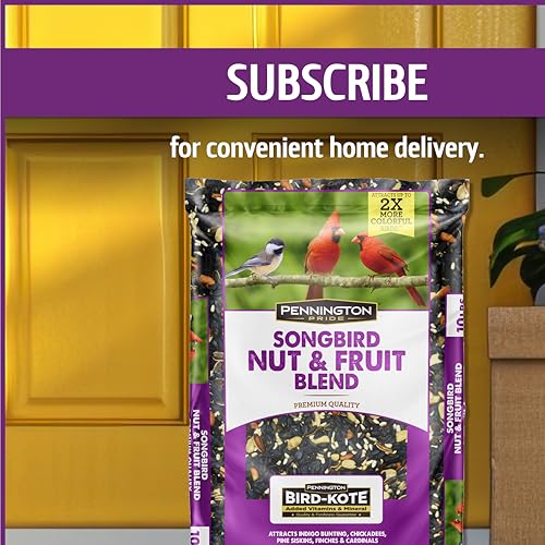 Wild Bird Seed for Outside Feeders, High-Protein, No-Hull, No-Waste, 15-lb Bag Q46704