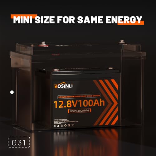 12V 100Ah Group 24 LiFePO4 Battery with 100A BMS, Deep Cycle for RV, Marine, Solar M985
