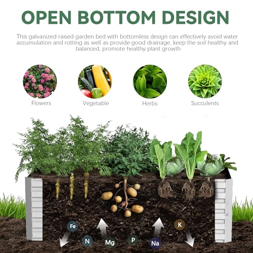Galvanized Raised Garden Bed 8x4x2ft, Large Metal Planter Box for Outdoor Vegetables, Flowers & Herbs D2106