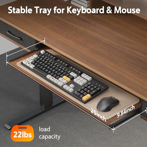 Electric Standing Desk with 2 Drawers, Height Adjustable for Home Office W495
