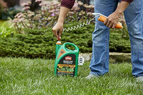 Weed Killer for Northern Lawns, 1.33 gal. P19303