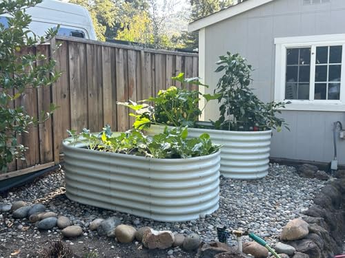 Galvanized Raised Garden Bed Oval Metal Planter Box for Vegetables Flowers U63502