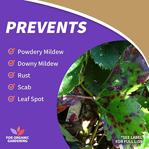 Neem Oil Spray, 32 oz, Multi-Purpose Fungicide and Insecticide for Organic Gardening U318