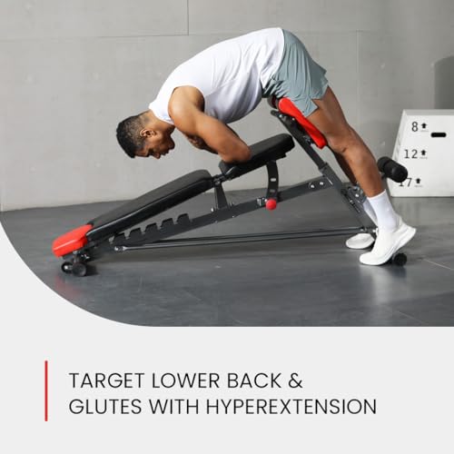 Multi-Functional Weight Bench for Full Body Workout S4381
