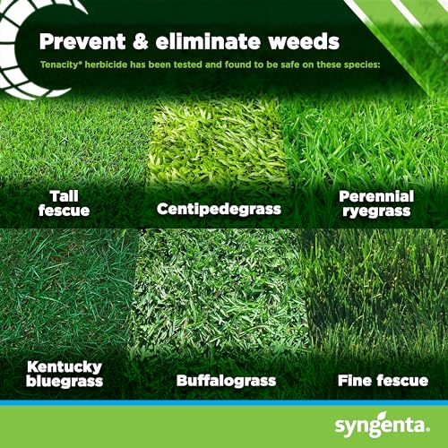 Tenacity Herbicide Pre-Emergent and Post-Emergent Weed Killer for Lawns, 8 oz G496