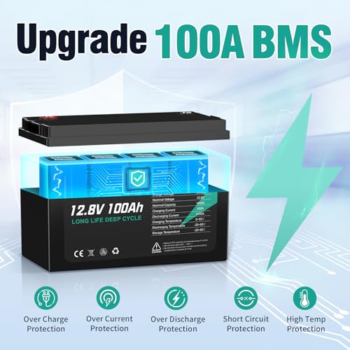 12V 100Ah LiFePO4 Battery for RV, Marine, Solar, Off-Grid R113