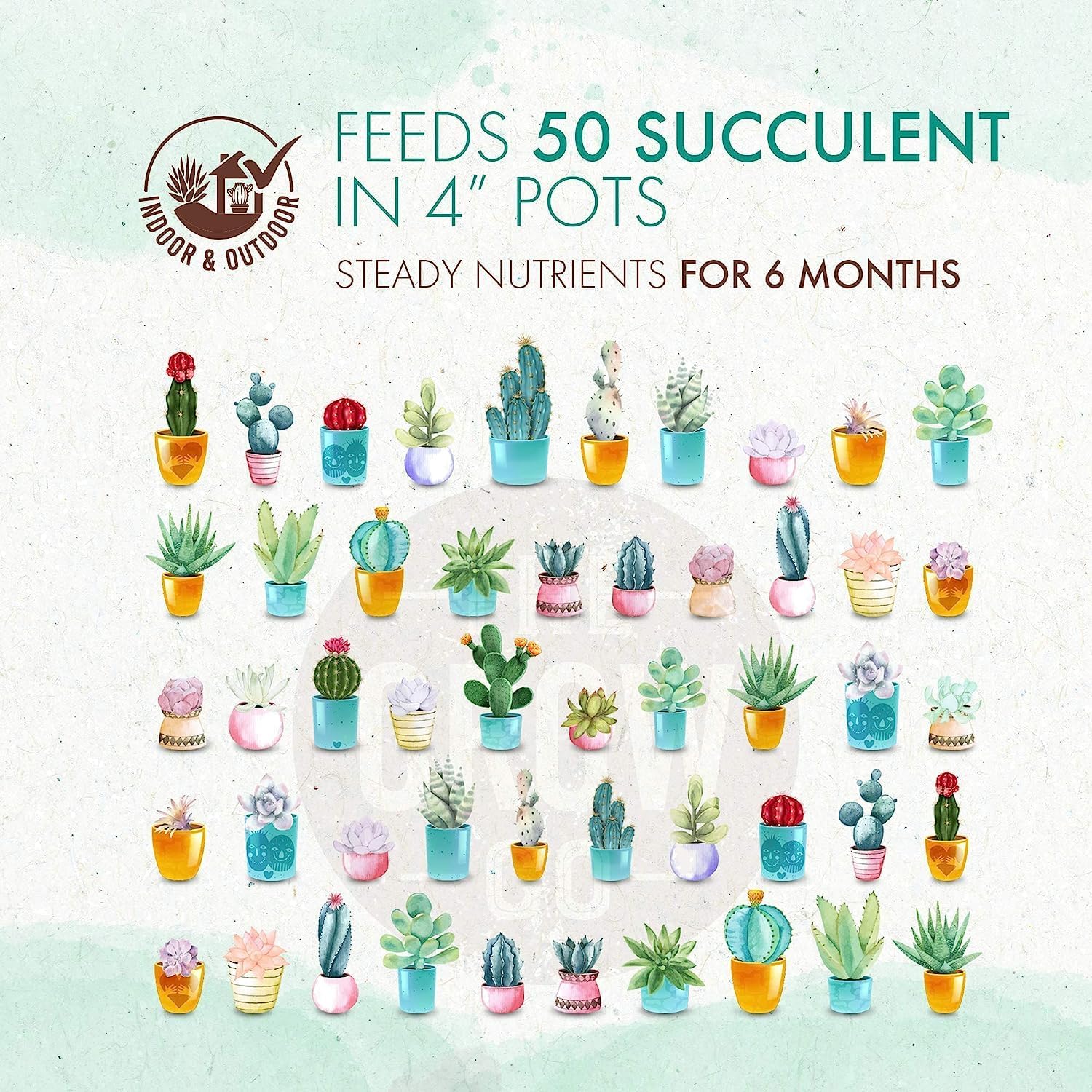 Succulent & Cactus Plant Food, Slow Release Fertilizer for Potted Plants, 5 oz C416610