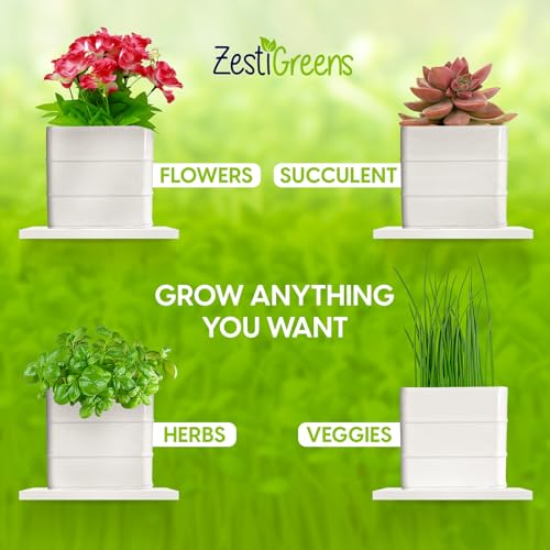 Herb Pot Planter Set with Tray for Indoor or Outdoor Use, White Metal G132003