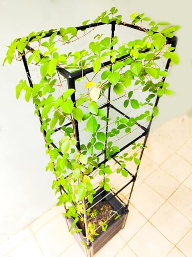 Trellis Planter Box with Caster, 2 Pack, Large Outdoor Garden Planter for Climbing Plants and Vegetables V478381