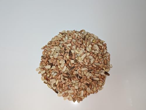 Wildlife Shelled Peanuts, 10 lbs for Birds and Squirrels C82678