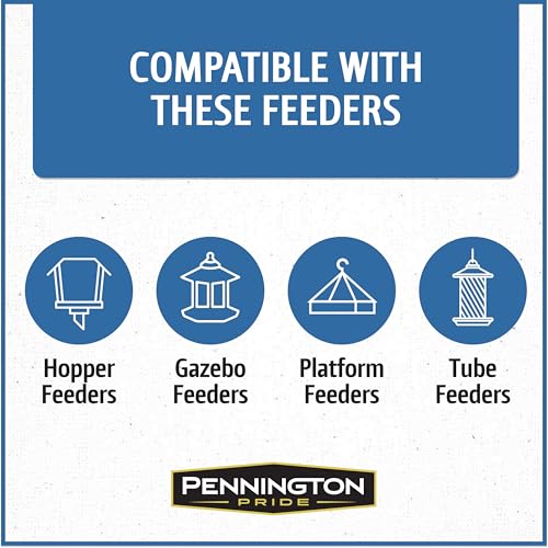 Wild Bird Seed for Outside Feeders, High-Protein, No-Hull, No-Waste, 15-lb Bag Q46704