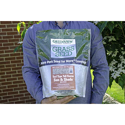 Tall Fescue Grass Seed Sun & Shade Blend H9638