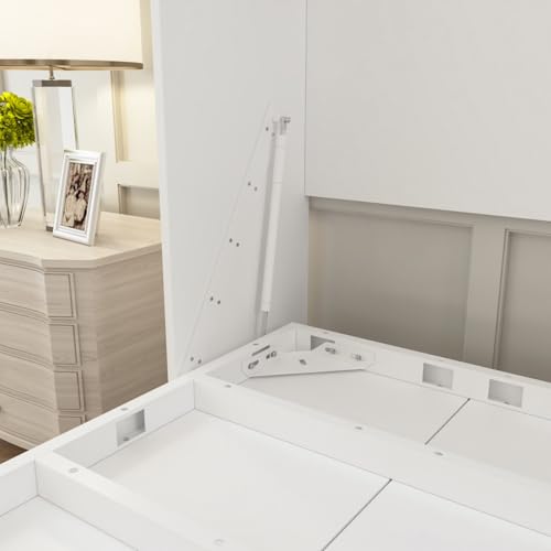 Queen Size Murphy Wall Bed, Space-Saving Foldable Cabinet Bed for Guest Room B824147