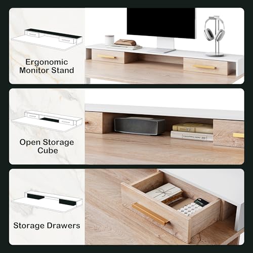 Standing Desk with 4 Drawers, Height Adjustable Electric Sit Stand Desk X5121
